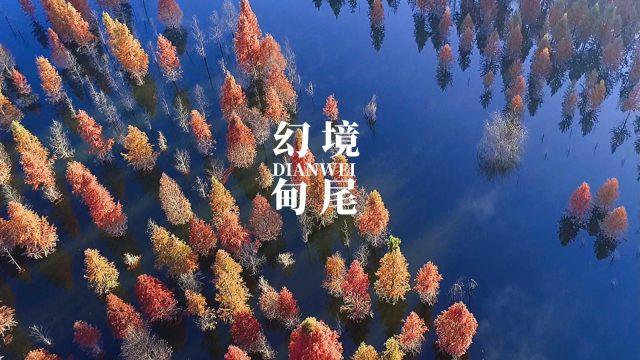怎样判断膨胀阀坏没坏-专业问答社区,提供疑难问题解答
