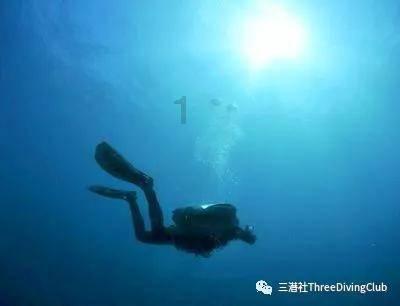 全民剧本大师内置菜单